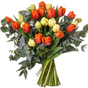 Bílé a oranžové tulipány
