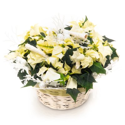 Christmas White Basket