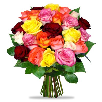 Поєднання кольорів троянд