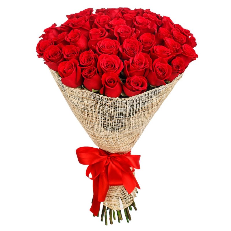 50 Red Roses