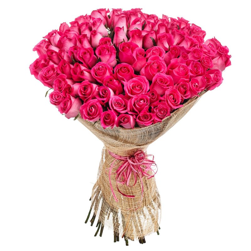 100 Pink Roses