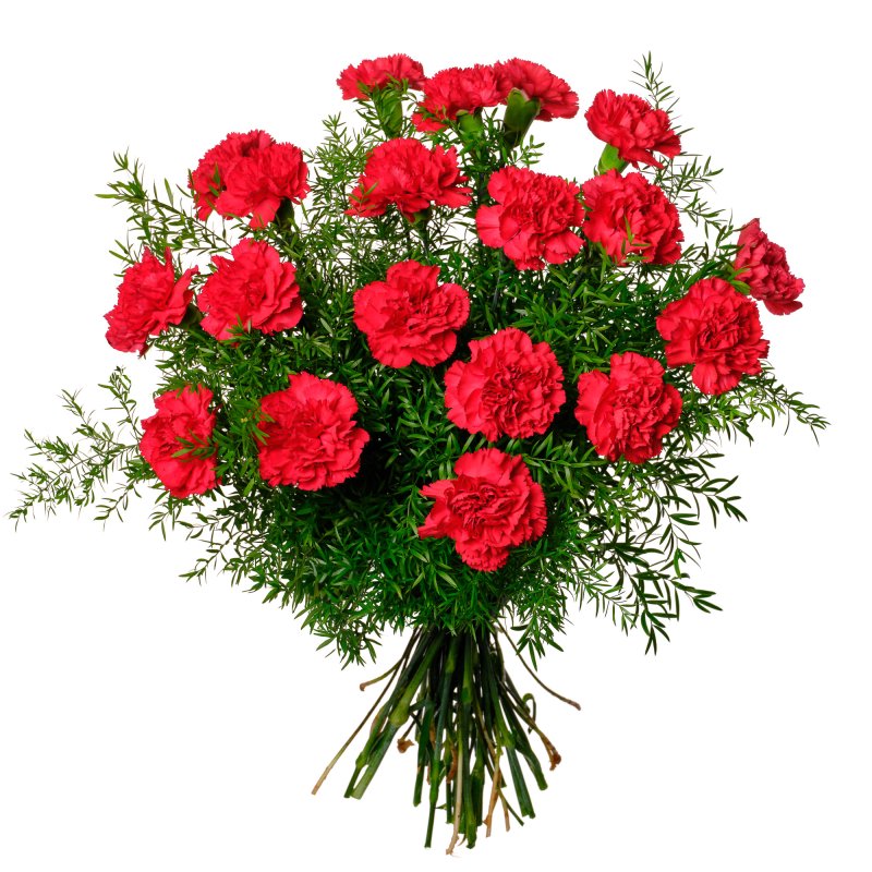 Ретро-гвоздики